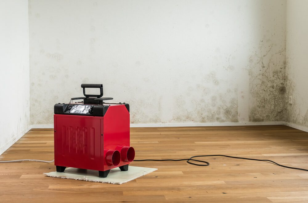 Osuszacze ścian: skuteczne rozwiązanie na problemy z wilgocią